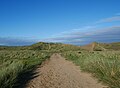 Exterior of the flagpole dune in Braunton Burroughs.