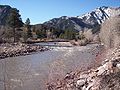 White River NFColorado