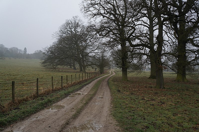 File:Wolds Way in Londesborough Park - geograph.org.uk - 4390160.jpg