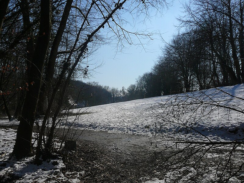 File:Wuppertal Lüntenbecker Weg 0092.jpg