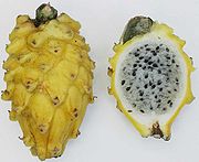 Pitahaya (gelb)