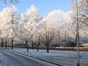 Meijhorst 20e straat in de winter