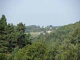 Панорама села Копані зі сторони Монастирка.jpg