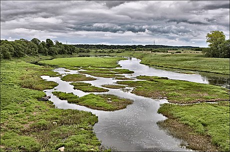 Dzisna jõgi