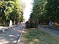 Севастопольський парк аллея 2.jpg