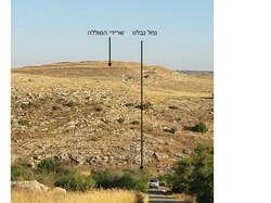 תל דלית מבט מצפון, ניתן להבחין בערוץ נחל נבלט ובסוללה שהקיפה את התל