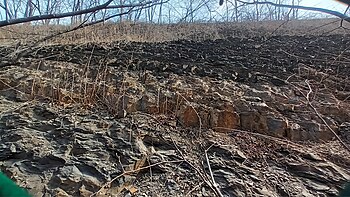 미래로 도로변 노두 경상북도 경산시 평산동 산 8-2/산 16 북위 35° 48′ 41.2″ 동경 128° 45′ 45.9″﻿ / ﻿북위 35.811444° 동경 128.762750° ﻿ / 35.811444; 128.762750