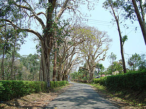 valparai tourist guide