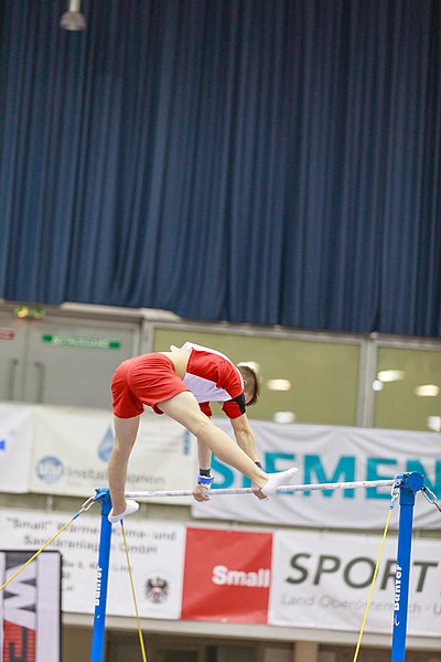 File:15th Austrian Future Cup 2018-11-24 Paul Schmölzer (Norman Seibert) - 10645.jpg