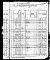 Journal sheet from 1880 United States Census, showing tabular data with rows of data, each a record corresponding to a single person. 1880 census Edison.gif