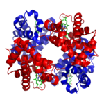 Biokemi