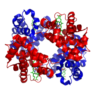 Metalloprotein Protein that contains a metal ion cofactor