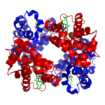 Biochemie