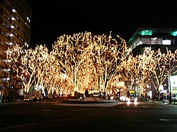 光のページェントの電飾がなされた定禅寺通 － 春日町交差点から西方向（2005年12月）。葉が茂っている夏季の樹形に似た輪郭で電飾が光る。