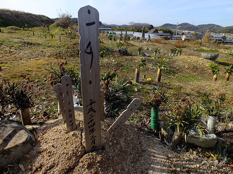 File:2013-01-05 Wood stûpa Graves in Ogo,Kobe,Hyogo prefecture 神戸市北区淡河町の墓地と木製卒塔婆 DSCF4046.JPG