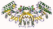 Vignette pour Aspartate kinase