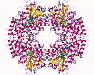 Ketol-acid reductoisomerase Class of enzymes