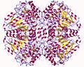 Vignette pour Tryptophanase