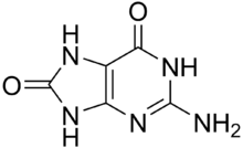 8-Oxoguanine.png 