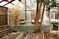 Abandoned Green House 2 (5772717232).jpg