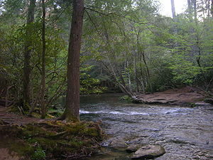 Abrams Creek is the largest creek wholly within the national park Abrams Creek Near Trailhead.JPG