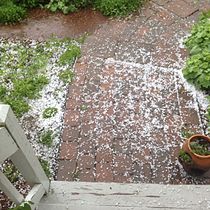 Accumulated hail in Charlton, Massachusetts