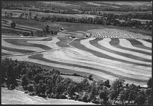 Aerial view of contour farming. Missouri - NARA - 286180.jpg