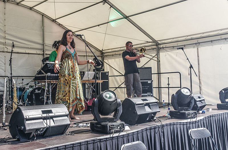 File:Africa Day Celebration Weekend In Dublin Docklands (7282710904).jpg