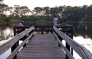 Dauphin Island Audubon Bird Sanctuary