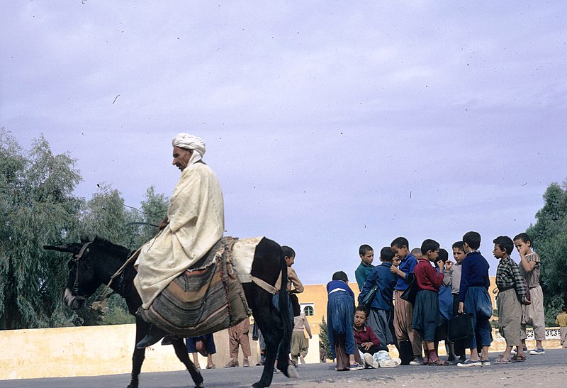 File:Algerie Ghardaia 03.jpg