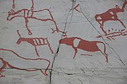 English: Rock art in the world heritage area in Alta, Norway. This is from the area Bergbukten 4b, a group of 195 figures. 22-24 m above sea level, and 6000-7000 years old.