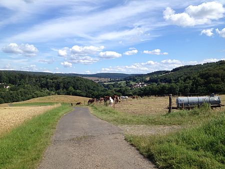 Alte Wilhelmshäuser Straße Knickhagen