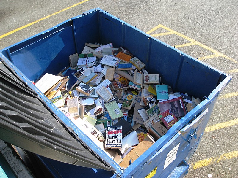 File:American Education in Dumpster.jpg