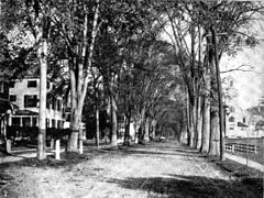 A Faculty Avenue 1920-ban