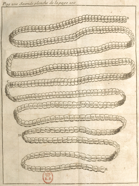 Andry - De la génération des vers (1741), planche p. 200-2.png