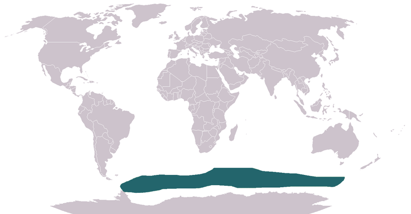 File:Antarctic Fur Seal area.png