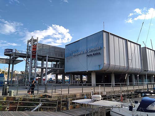 Aquarium of Genoa