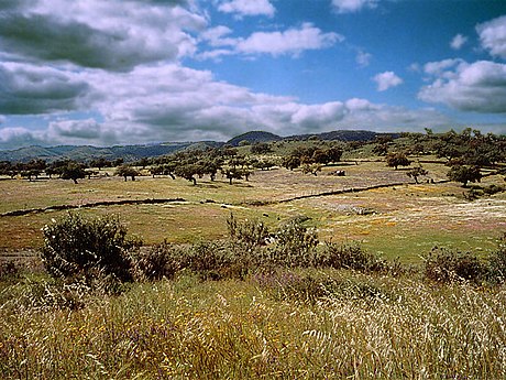 Parc naturel de la Sierra de Aracena et des pics d'Aroche