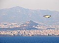 Acropolis vanuit Piraeus