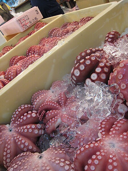 File:August 2007 Tsukiji fish market 32.jpg