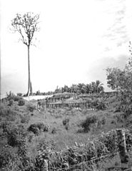 Kamp Sandakan in Noord-Borneo.