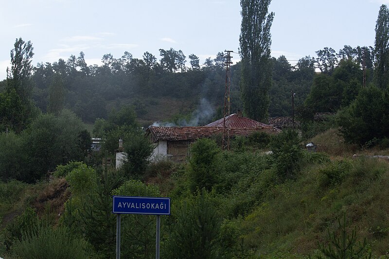 File:Ayvalısokağı Köy Girişi.jpg