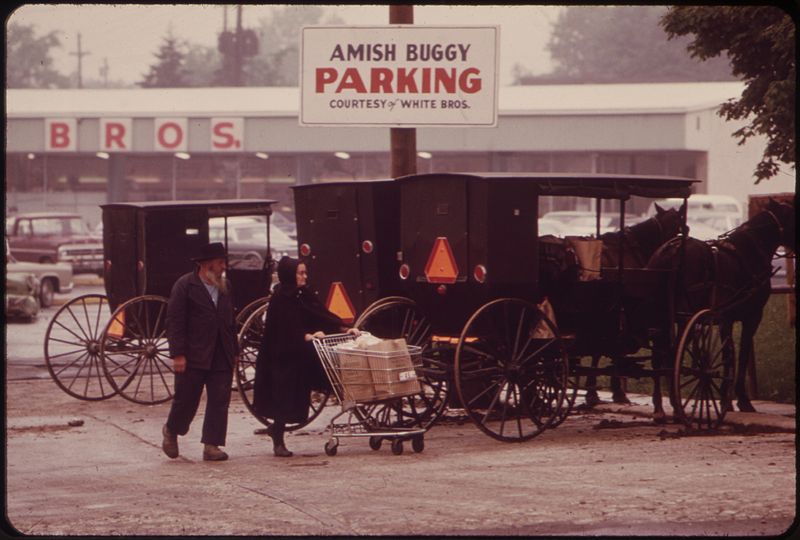 File:BUGGIES REQUIRE PARKING SPACE, TOO. MIDDLEFIELD SHOPPING CENTER - NARA - 550102.jpg