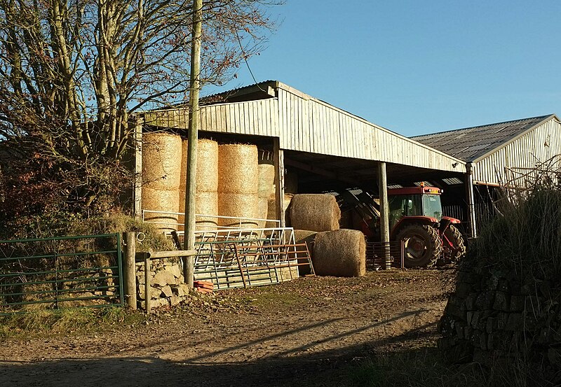 File:Bales in the barn, Winscott Barton - geograph.org.uk - 5217636.jpg