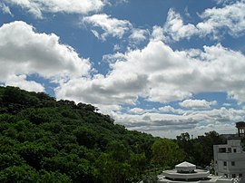 Baner Hill Natur aus meinem Haus.JPG