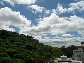 Baner hill nature from my house.JPG