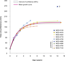 Growth trajectories of several tibiae, taken from a 2018 study of the taxonomy and ontogeny of the specimens Basturs poble growth curve.png