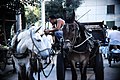 Beijing Horse Cart Street Vendor (10563504504).jpg