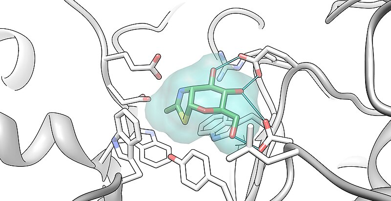 File:Beta Active Site.jpg