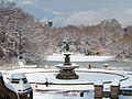 Bethesda Fountain al Central Park